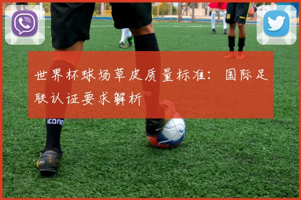 世界杯球场草皮质量标准:国际足联认证要求解析