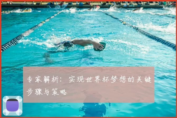 专家解析:实现世界杯梦想的关键步骤与策略