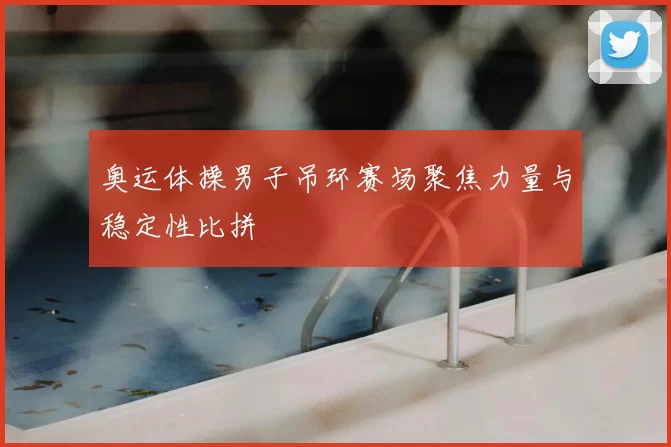 奥运体操男子吊环赛场聚焦力量与稳定性比拼