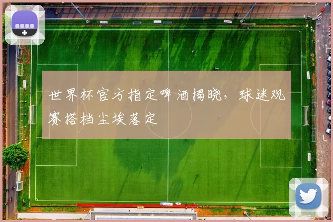 世界杯官方指定啤酒揭晓,球迷观赛搭档尘埃落定