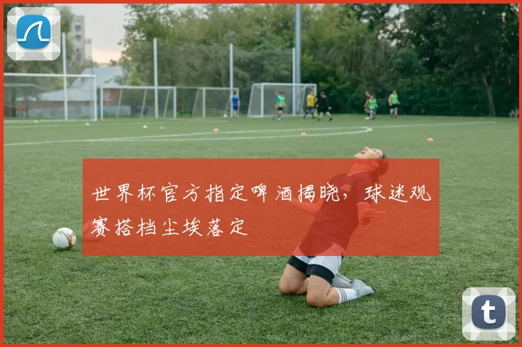 世界杯官方指定啤酒揭晓,球迷观赛搭档尘埃落定