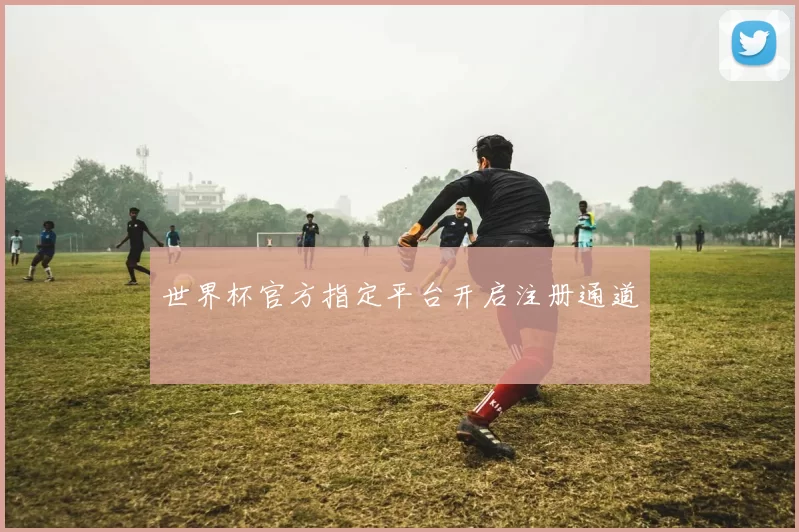 世界杯官方指定平台开启注册通道