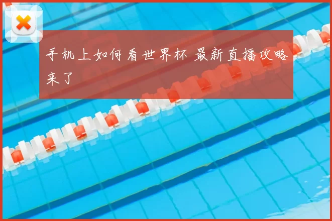 手机上如何看世界杯 最新直播攻略来了