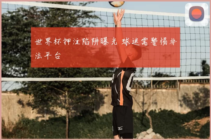 世界杯押注陷阱曝光 球迷需警惕非法平台