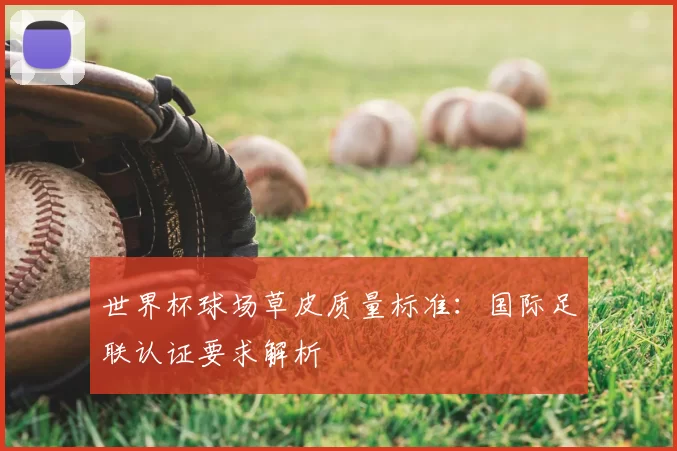 世界杯球场草皮质量标准：国际足联认证要求解析