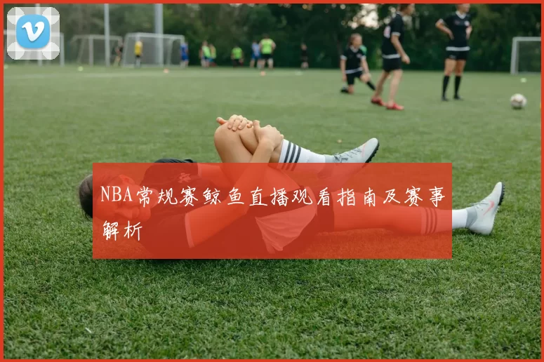 NBA常规赛鲸鱼直播观看指南及赛事解析