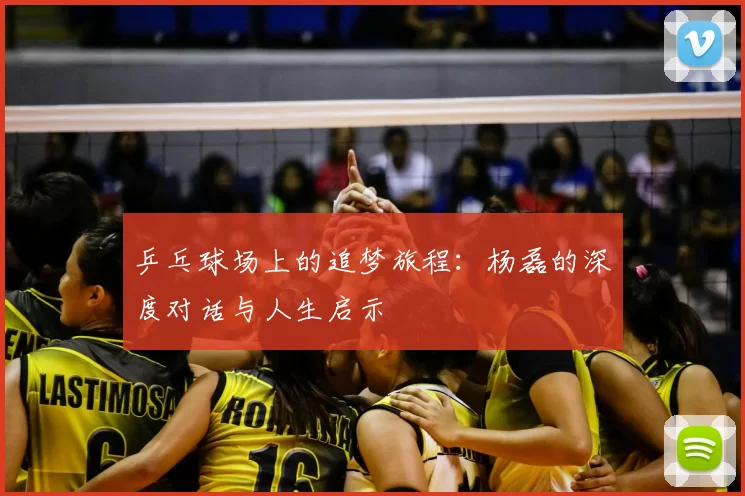 乒乓球场上的追梦旅程：杨磊的深度对话与人生启示