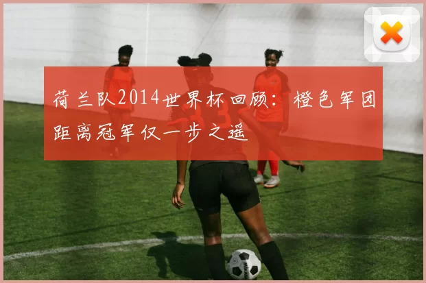 荷兰队2014世界杯回顾:橙色军团距离冠军仅一步之遥